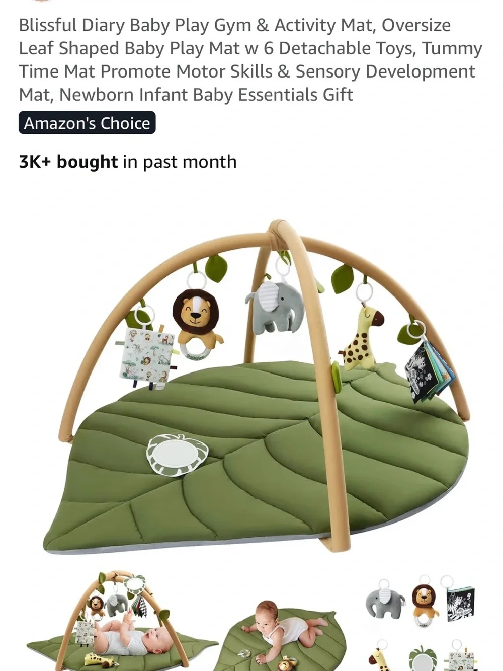 Blissful Diary Baby Play Gym and Activity Mat - 6 Detachable Toys